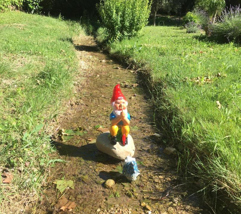 Photo of Others in Puget