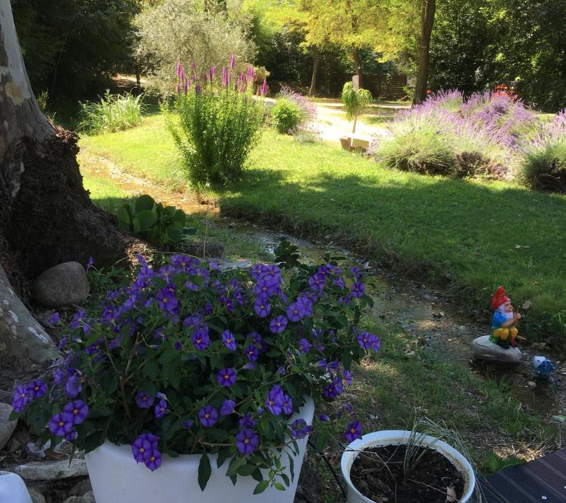 Photo of Others in Puget