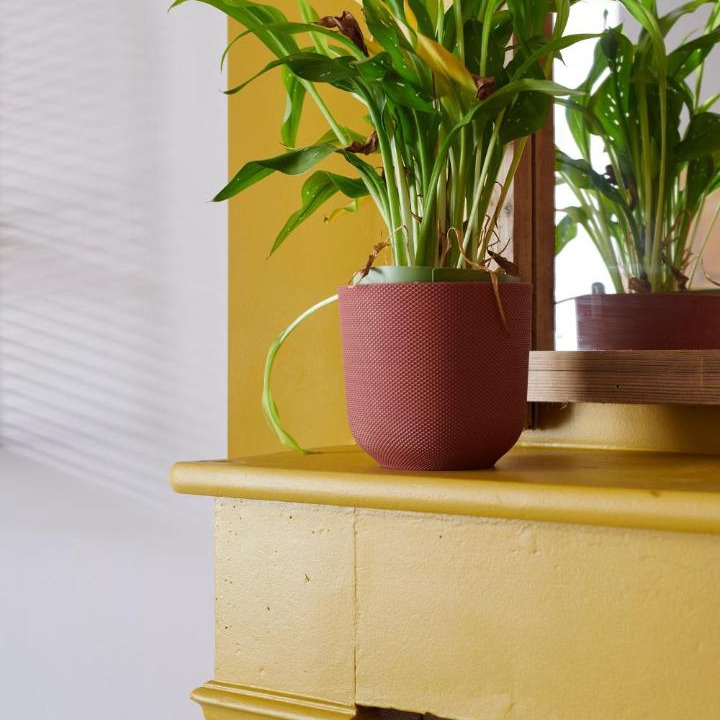 Photo of Others in Clisson