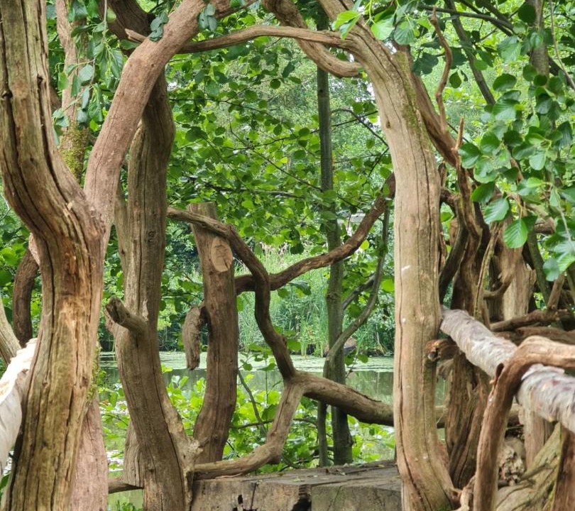 Photo of Others in Brentwood