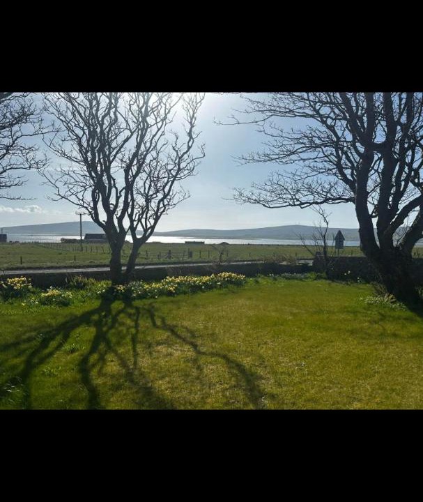 Photo of Others in Saint Ola