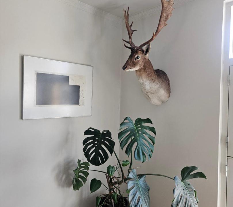 Photo of Others in Odense