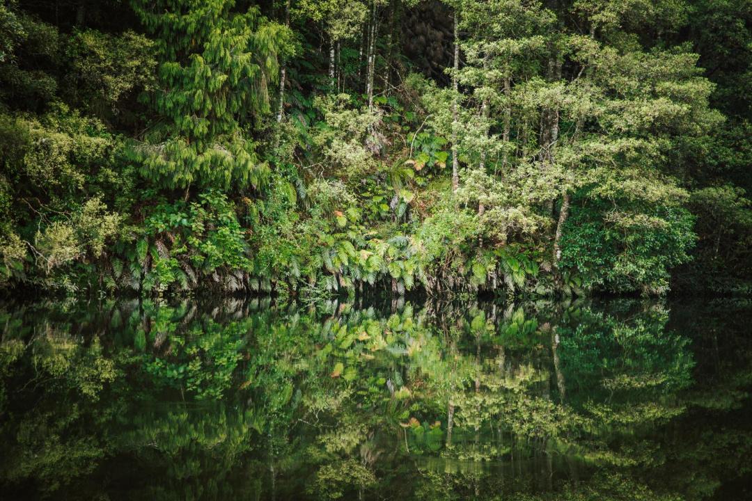 Photo of Others in Omanawa