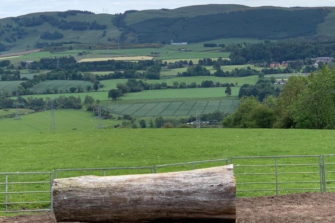 Photo of Others in Perth