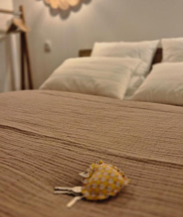 Photo of Bedroom in Blagnac