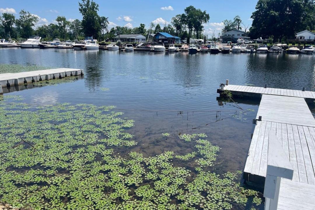 Photo of Others in Saugerties South