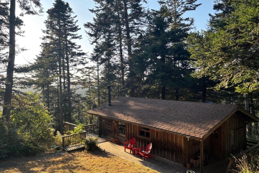 Photo of Others in Galt