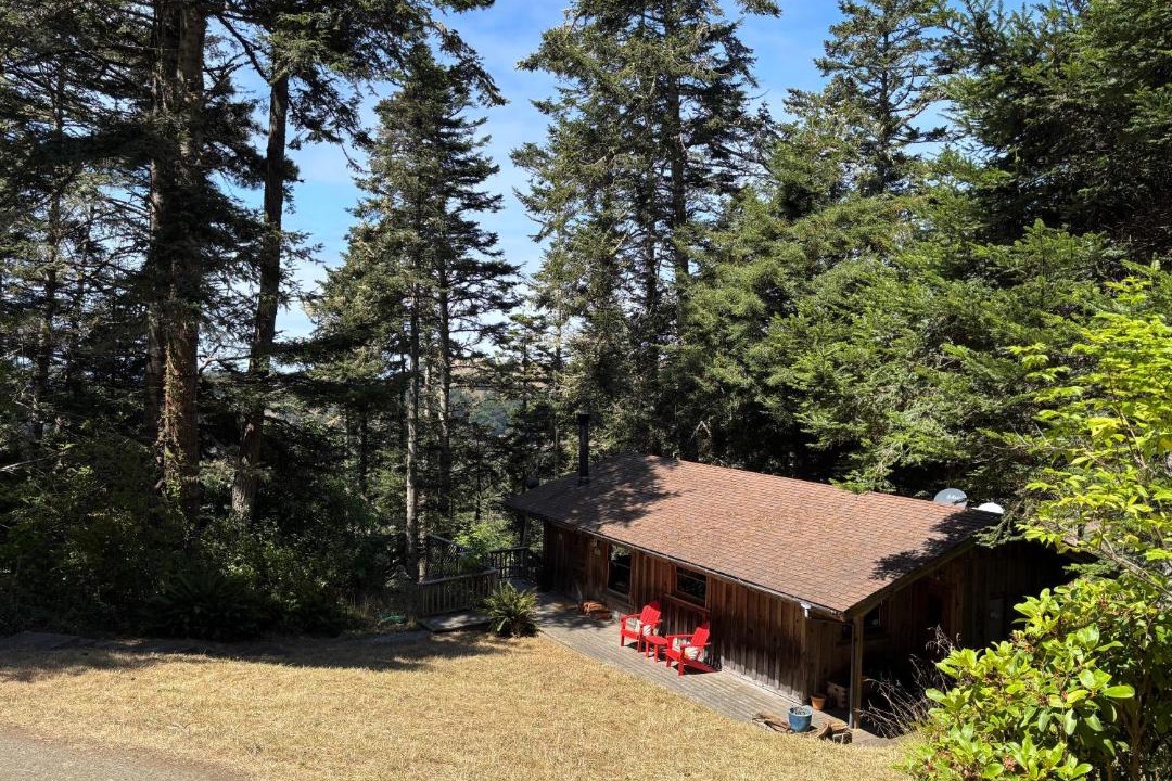 Photo of Others in Galt