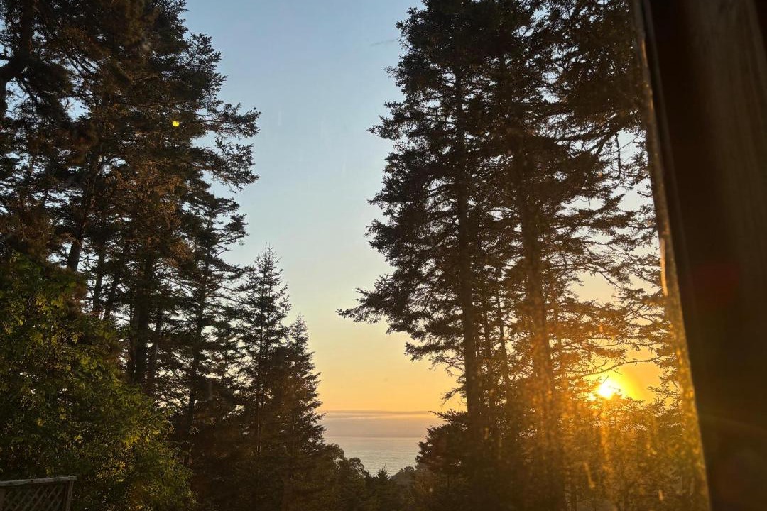 Photo of Others in Galt