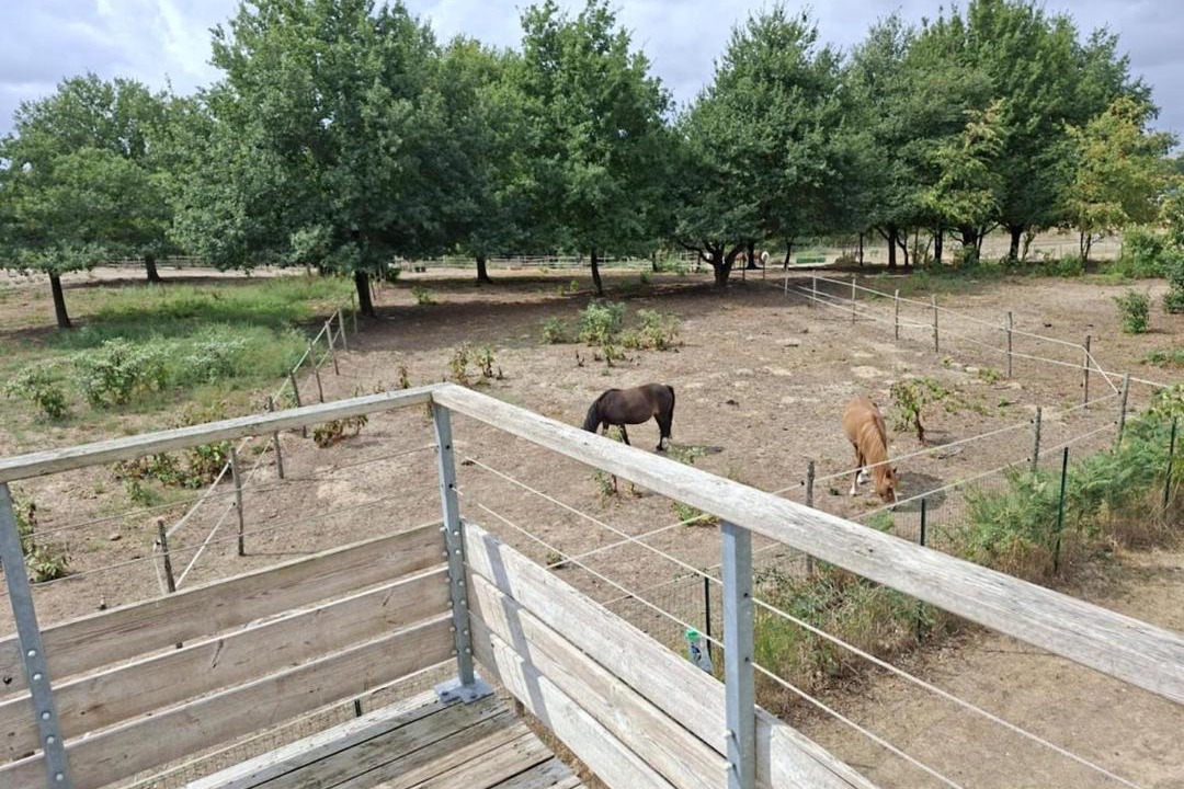 Photo of Others in Chaveignes