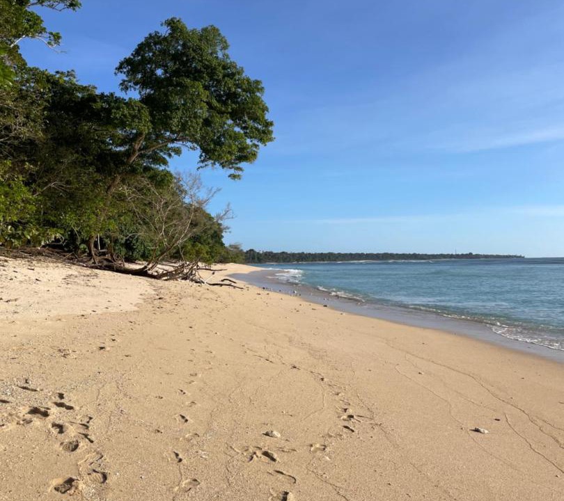 Photo of Others in Sumberagung