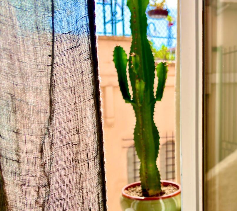 Photo of Others in Lepante Quarter