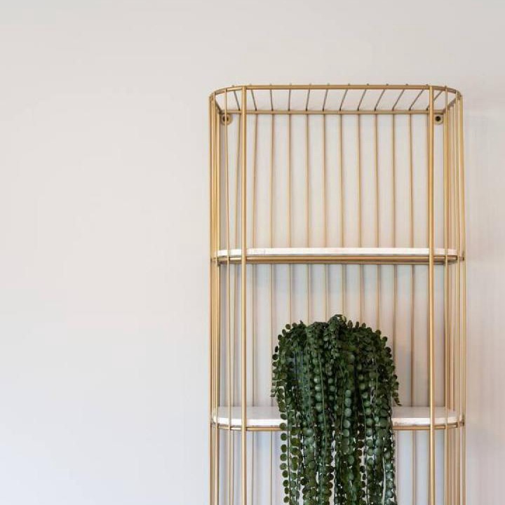 Photo of Others in Plainville