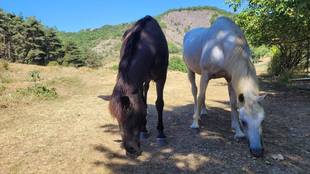 Photo of Outdoor in Lardier-et-Valenca