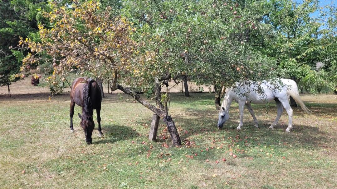 Photo of Others in Lardier-et-Valenca
