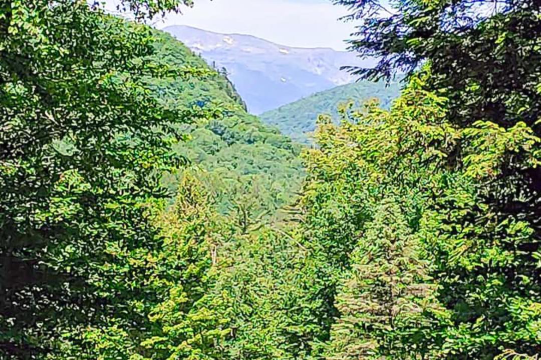 Photo of Others in Jackson