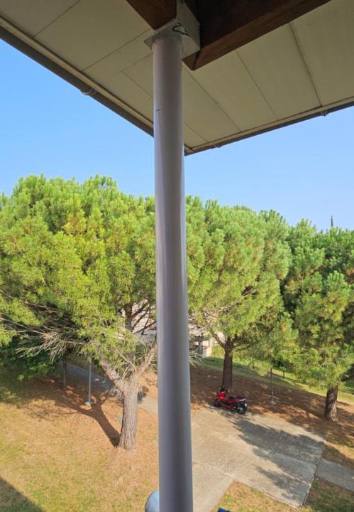 Photo of Others in L'Union