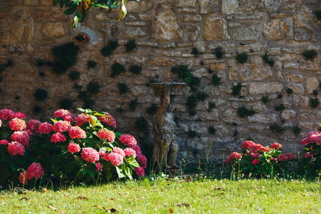 Photo of Others in Espere