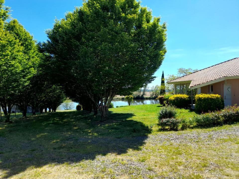 Photo of Others in Aire-sur-l'Adour