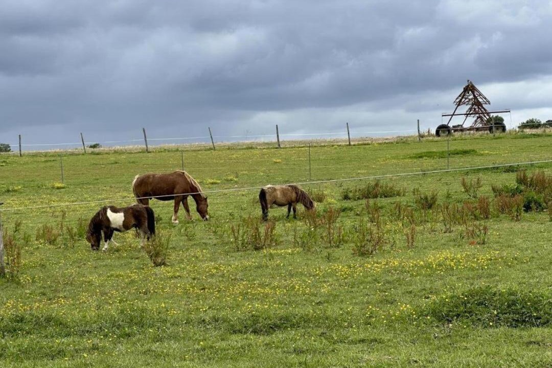 Photo of Others in Aire-sur-l'Adour