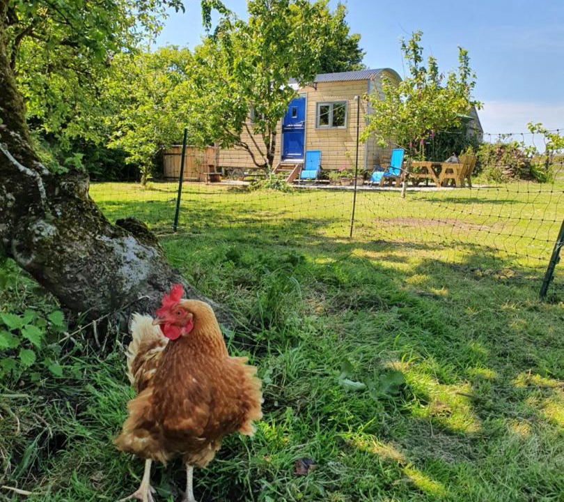 Photo of Others in St Teath