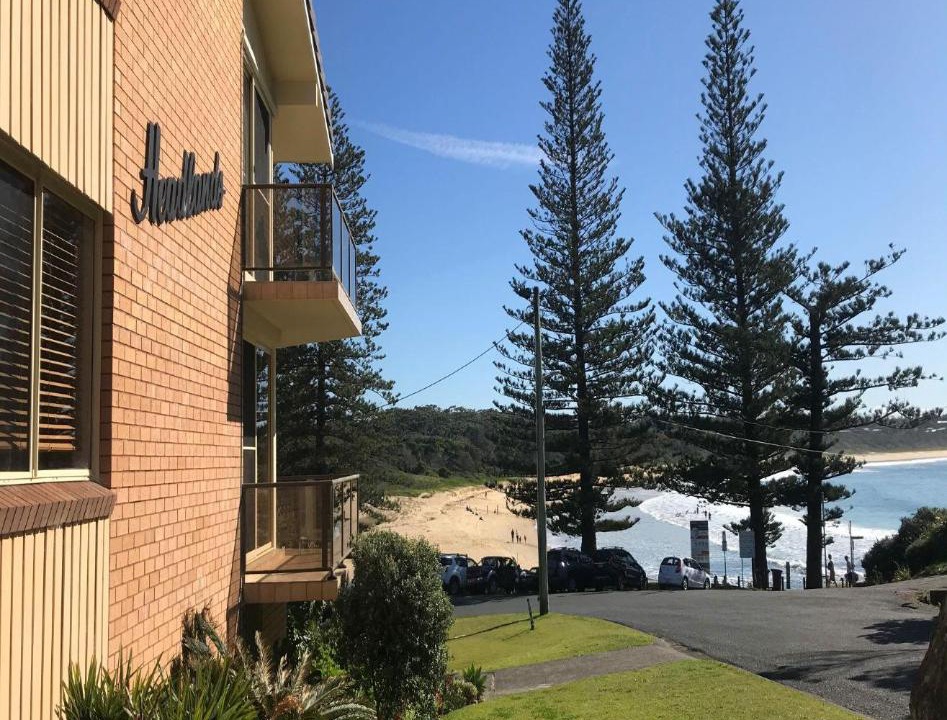 Photo of Others in Black Head