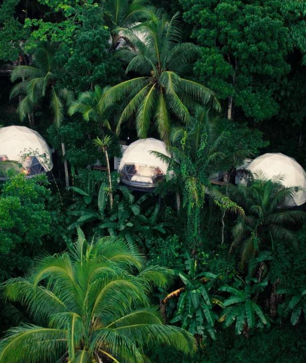 Photo of Others in Kajarharjo