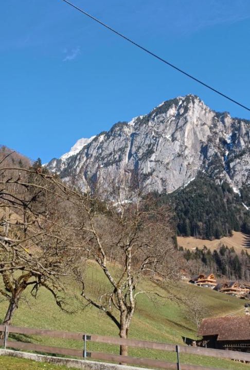 Photo of Others in Kiental