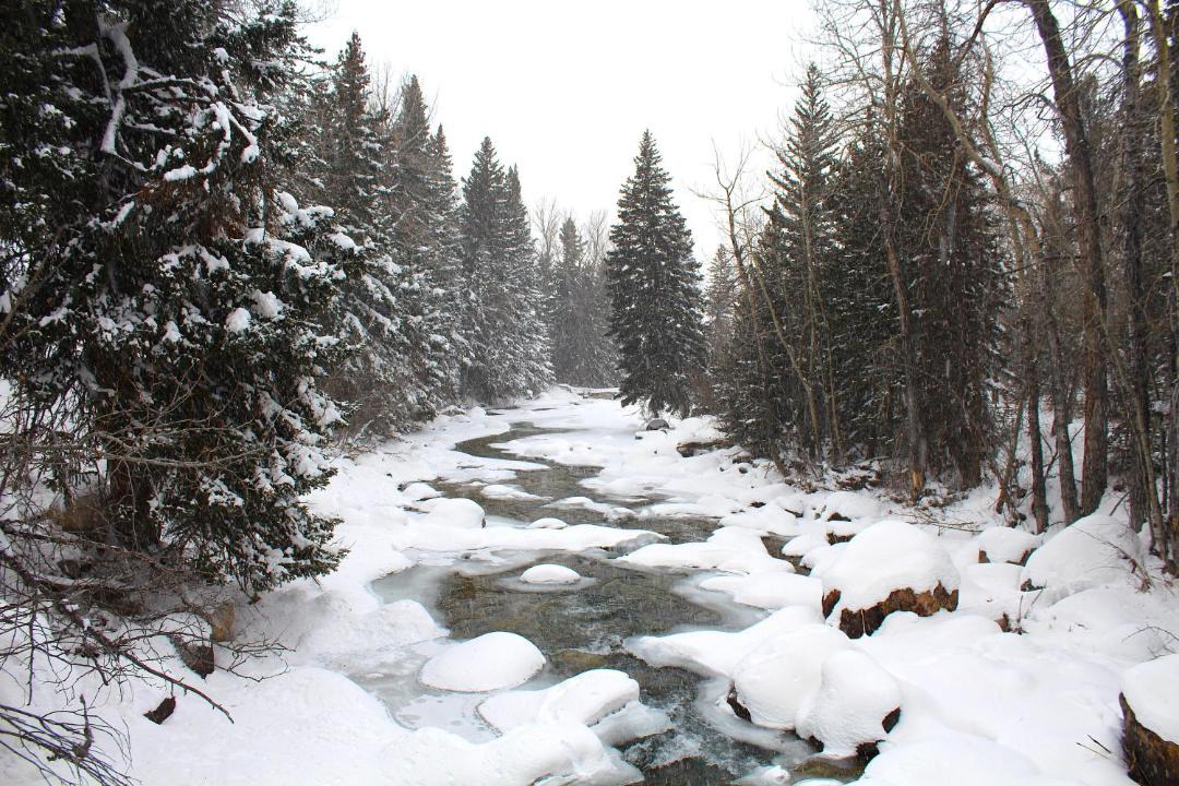 Photo of Others in Red Lodge