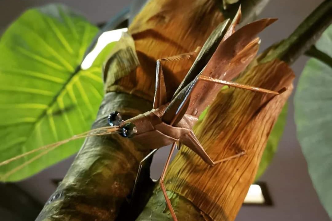 Photo of Others in Taman Teh Teng Seng