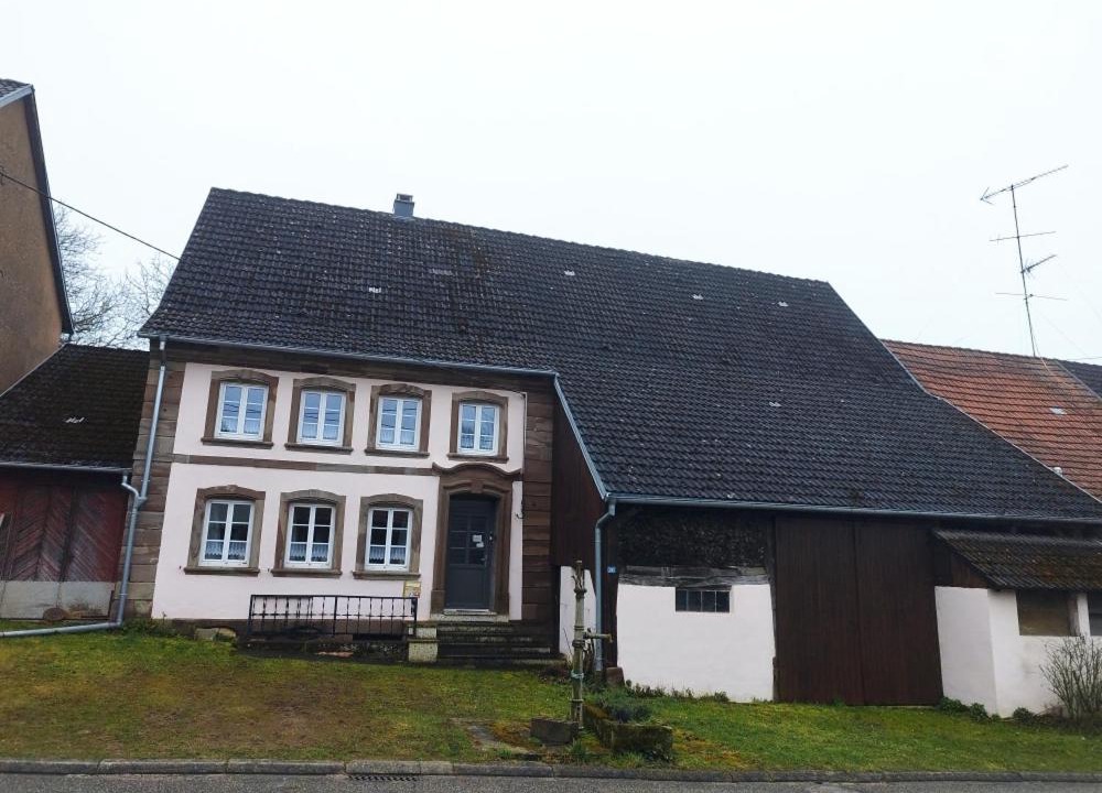 Photo of Others in Lohr