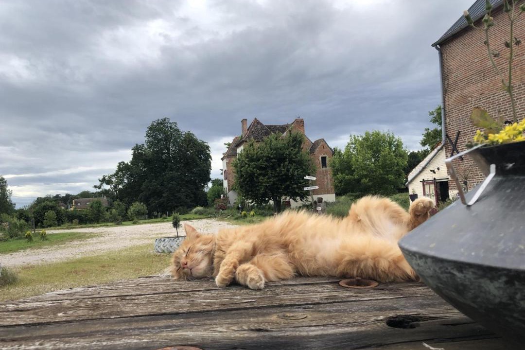 Photo of Others in Clux-Villeneuve