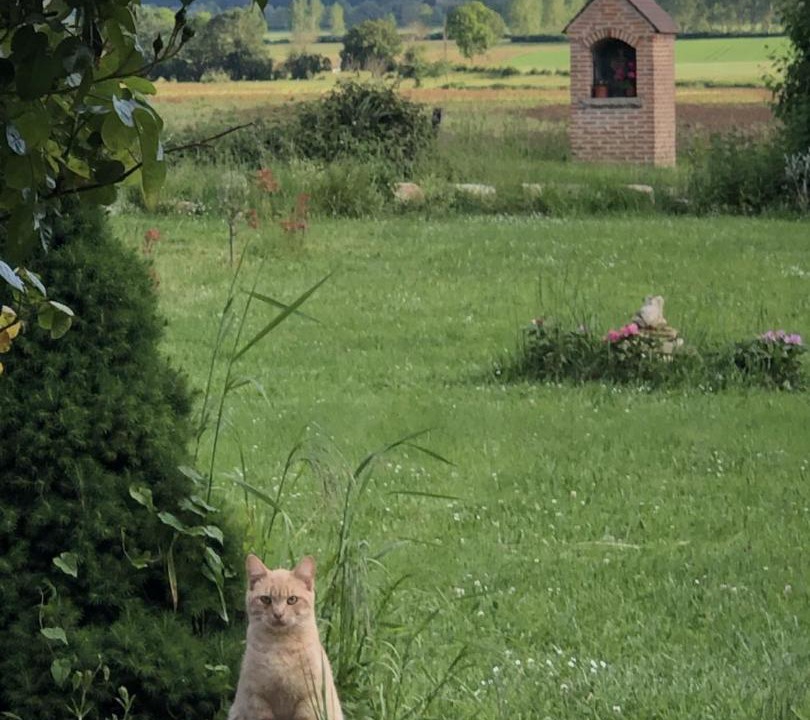 Photo of Others in Clux-Villeneuve