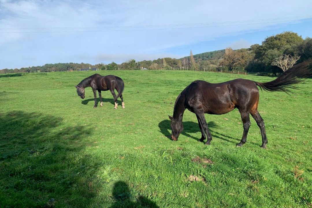 Photo of Others in Theix-Noyalo