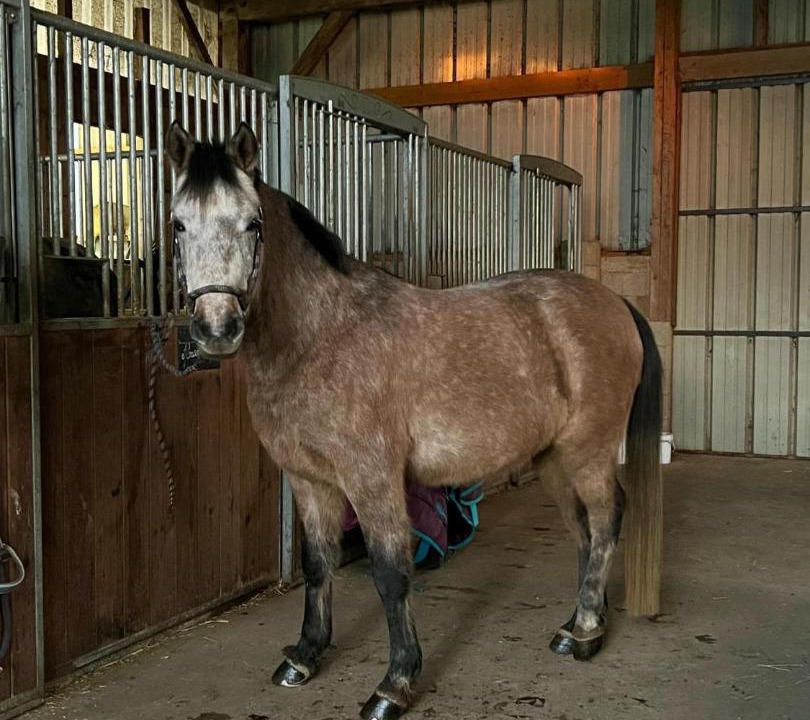 Photo of Others in Theix-Noyalo