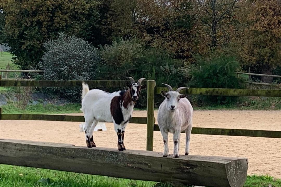 Photo of Others in Theix-Noyalo