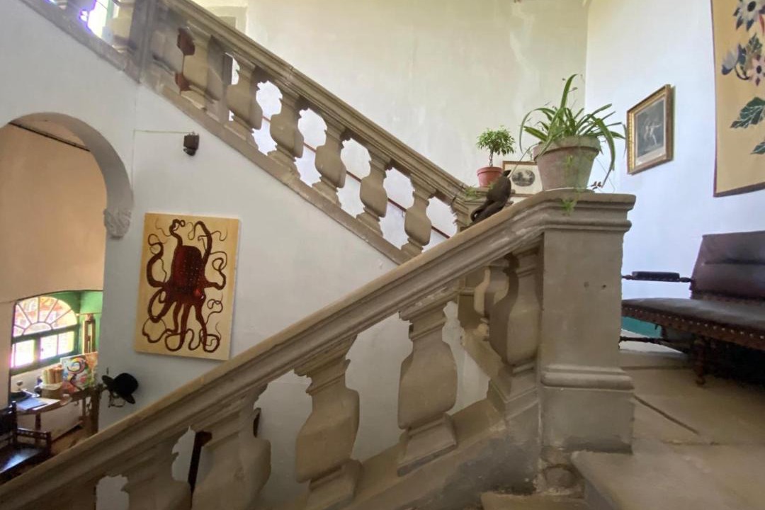 Photo of Others in Lautrec