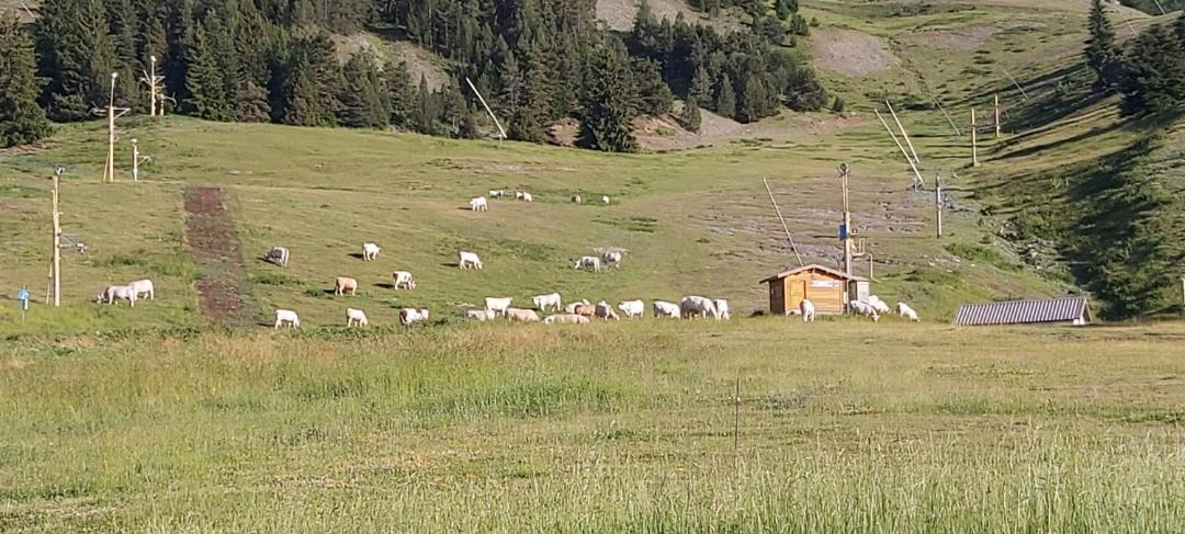 Photo of Others in Selonnet