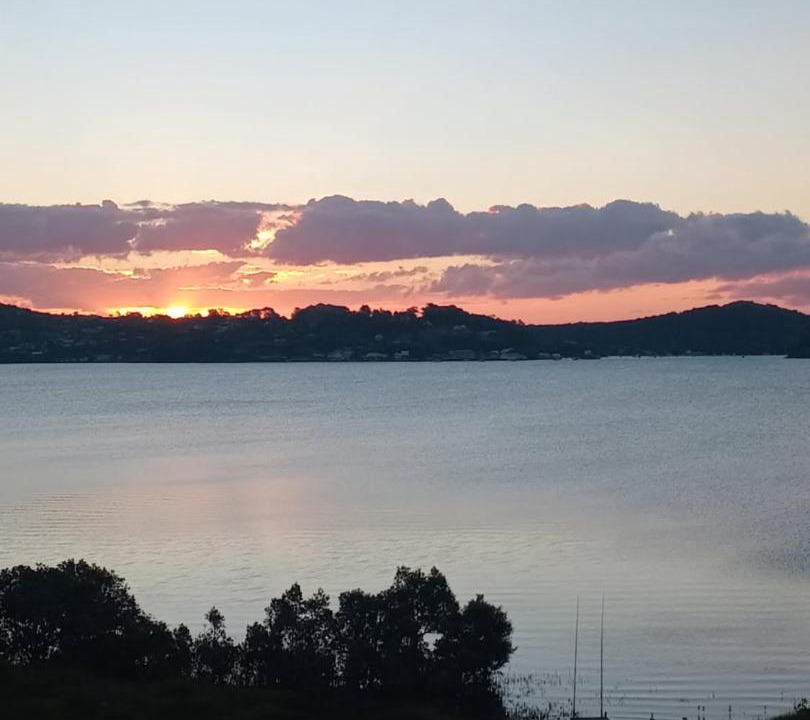 Photo of Others in Mangonui