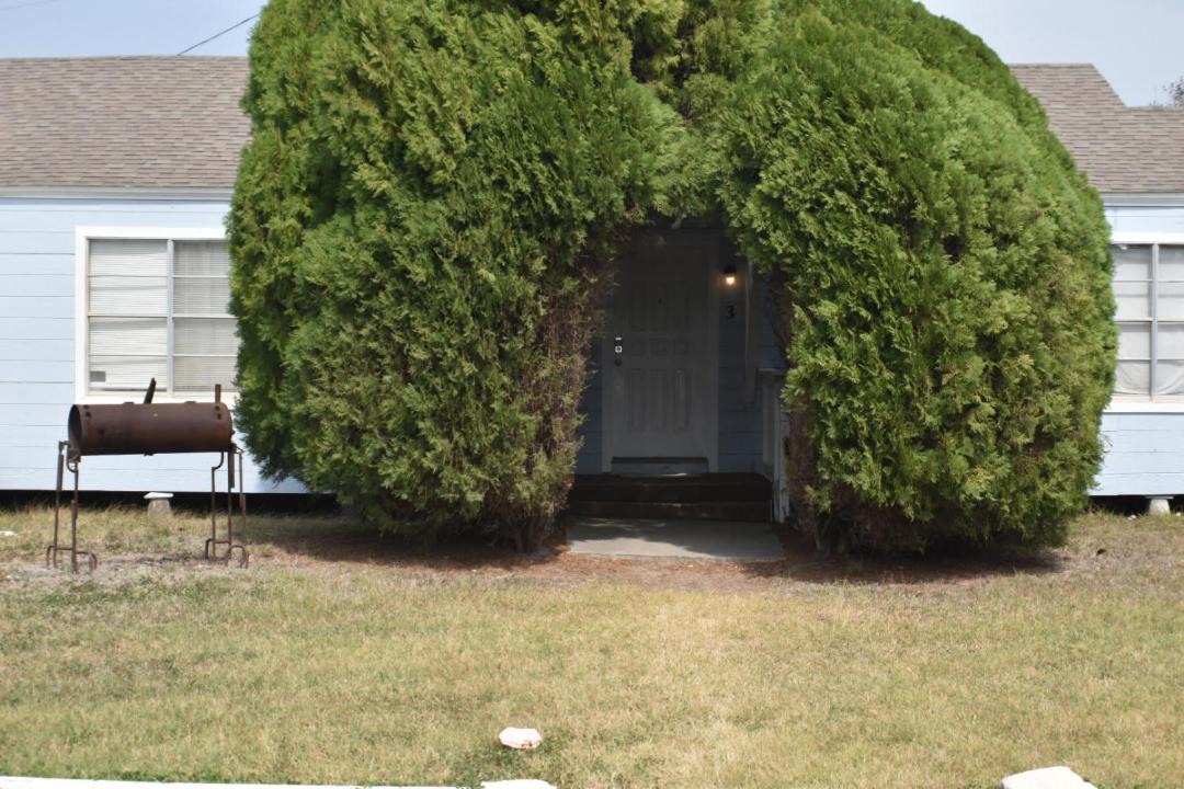 Photo of Others in Ingleside