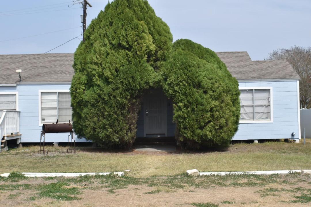 Photo of Others in Ingleside