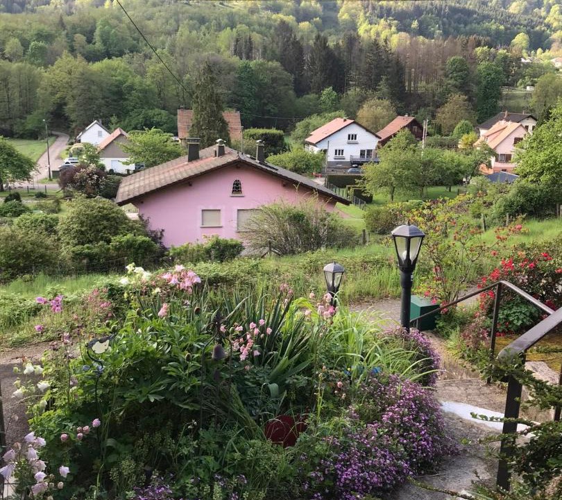 Photo of Others in Mollau