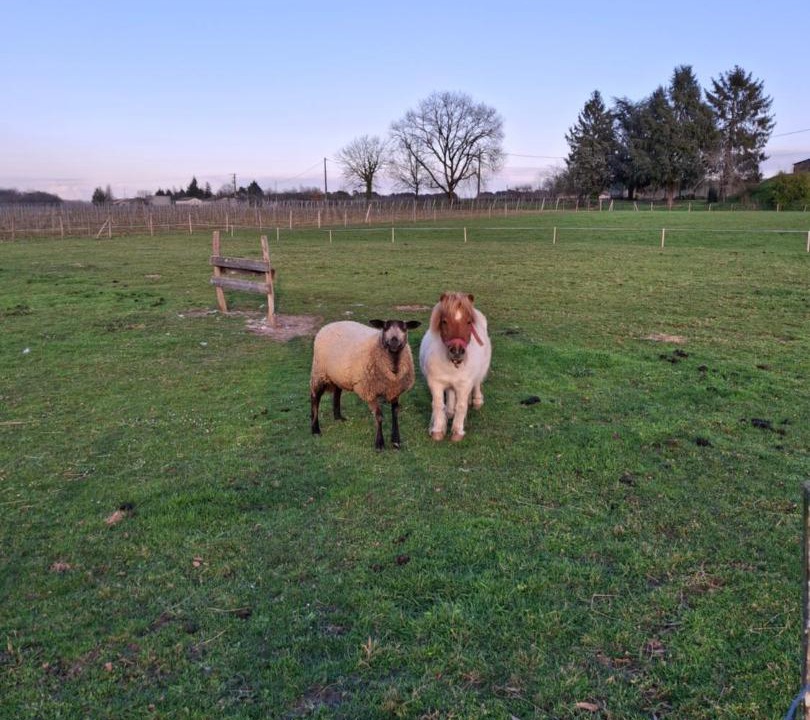 Photo of Others in Cleyrac