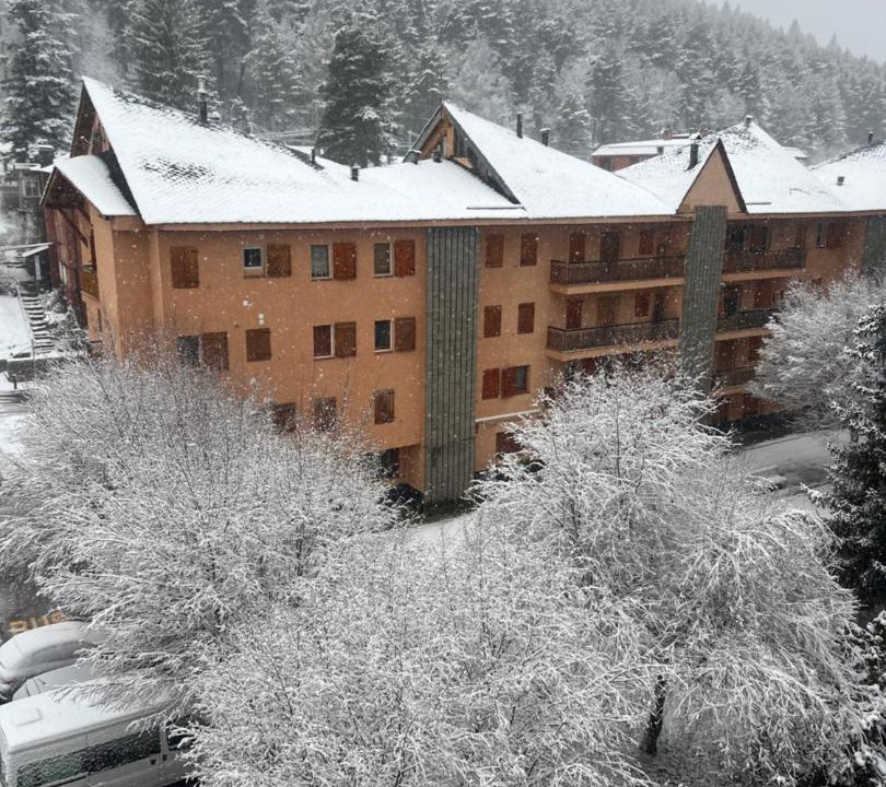 Photo of Others in La Molina