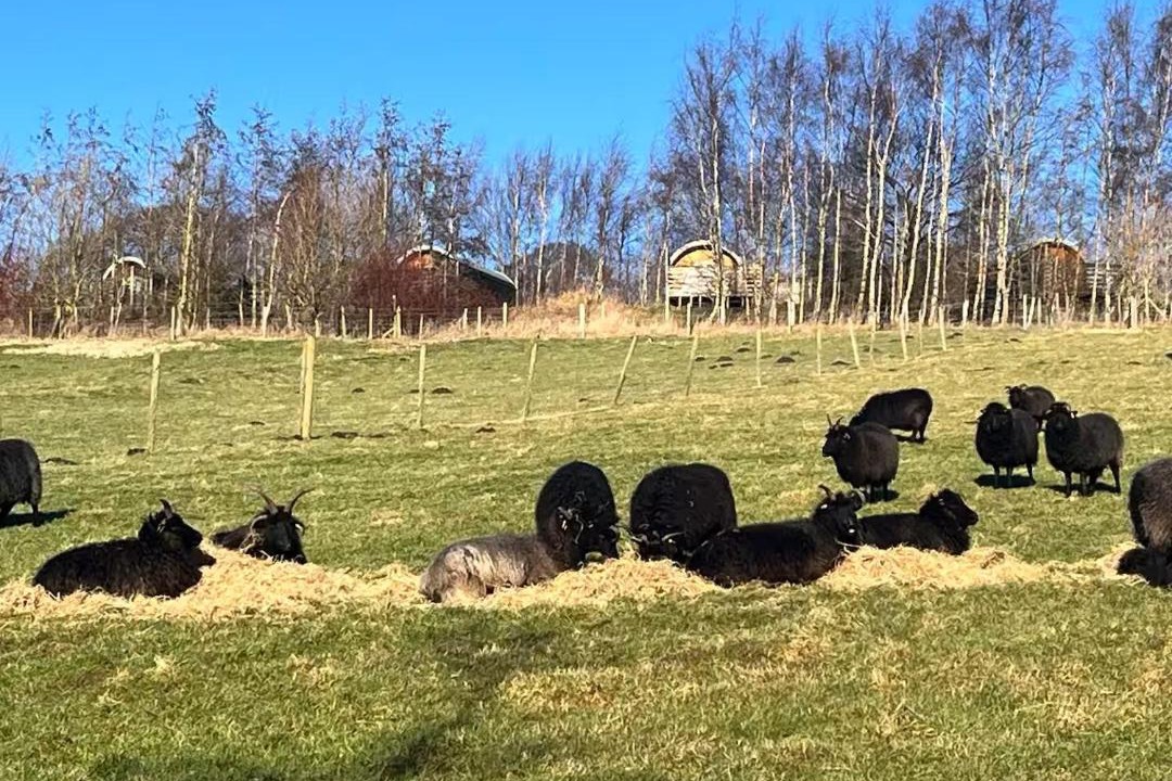 Photo of Others in Sutton-in-Craven