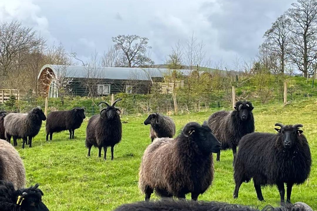 Photo of Others in Sutton-in-Craven