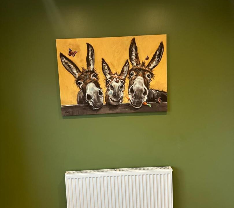 Photo of Others in Hull