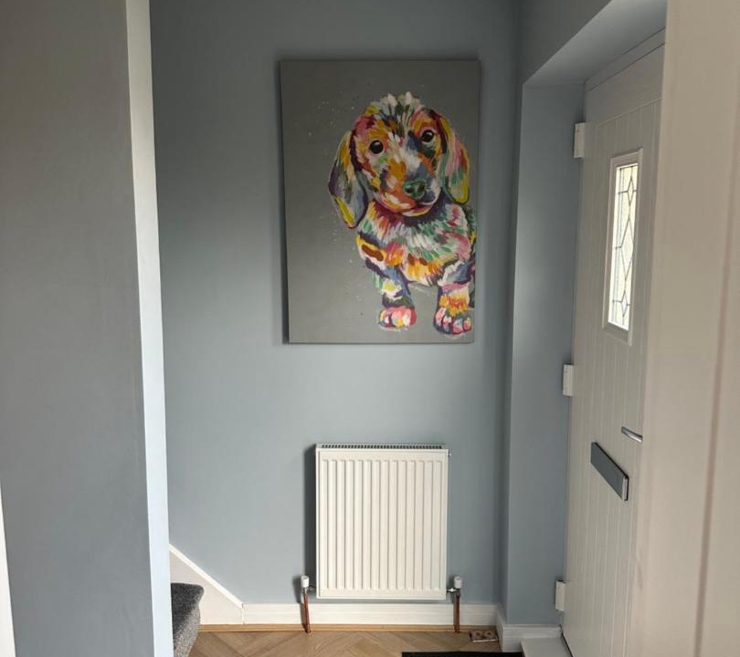 Photo of Others in Hull