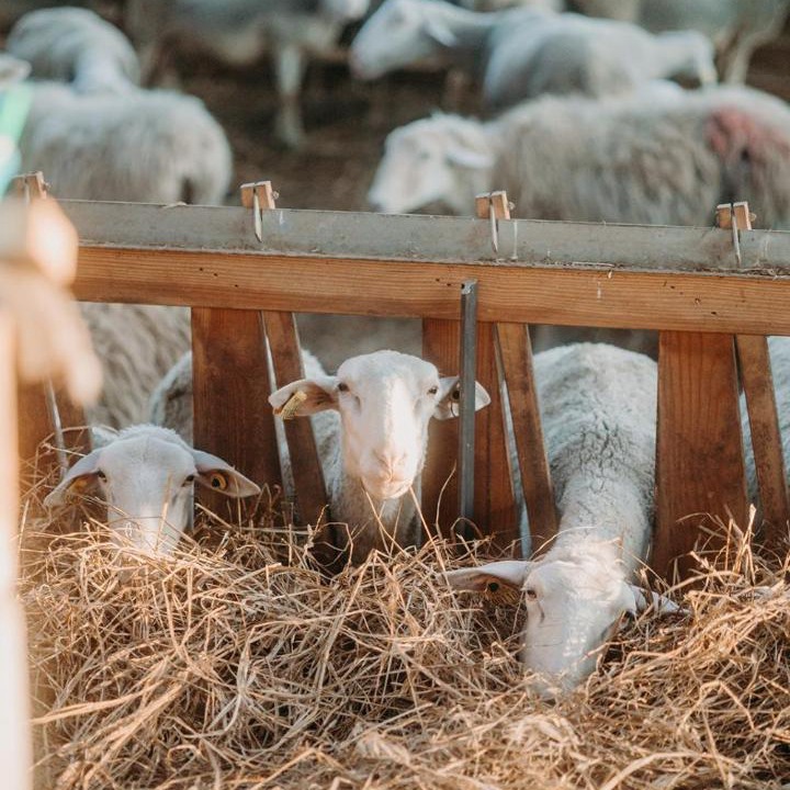 Photo of Others in Roumare