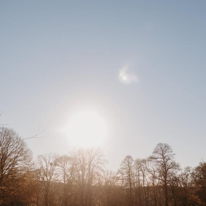 Photo of Others in Roumare